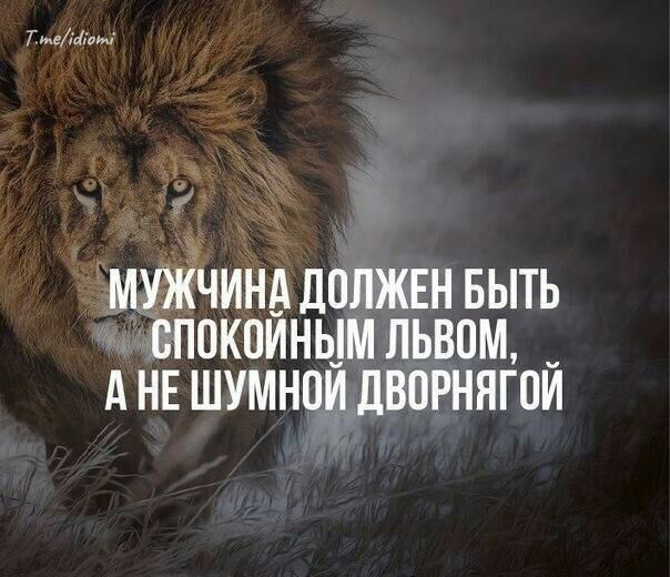 7 м а _ МУЖЧИНА ДПЛЖЕН БЫТЬ БПОКОИНЫМ ЛЬВПМ А НЕ ШУМНПИ дВОРННГОИ
