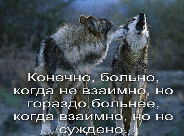 когда нже Взаимн гораЁдо бопьн ког а взаимн ПуКСЗеН