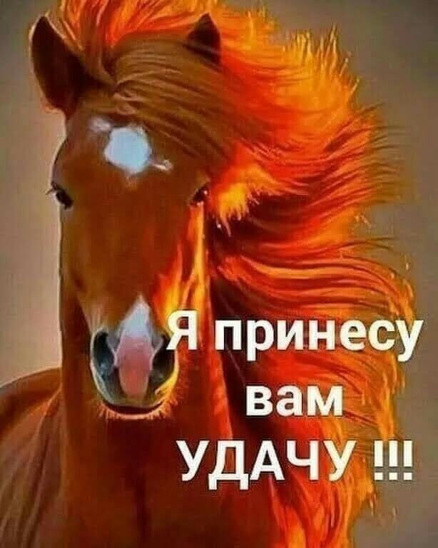 г 1 гАЯ принесу вам УДАЧУ