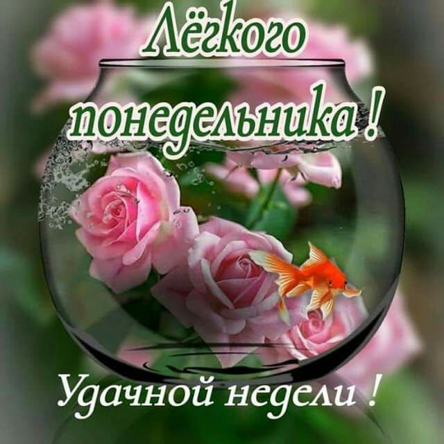 Ууачнбй нёусл