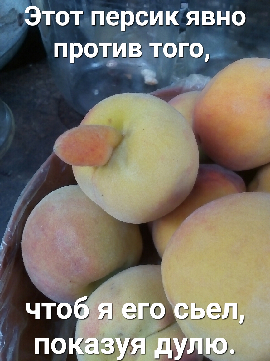 Этот персик явно про_1_и9_ того 311393 ЭЛ 313 УИ димы