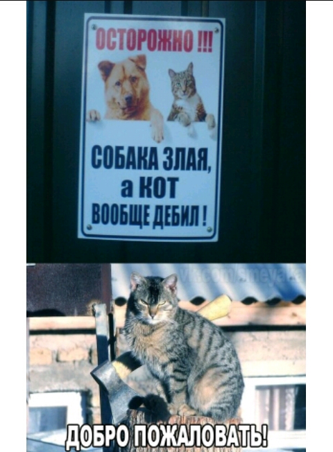 Ъыоюжиаш Ё семплами а ШП _впоншідъьил_