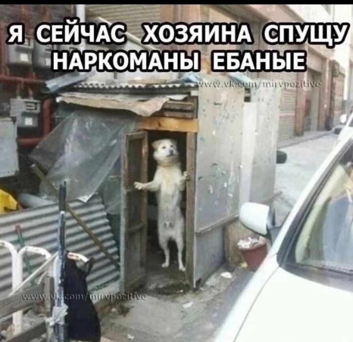 я сейчас хозяина спущу наркоманы ебаныe
