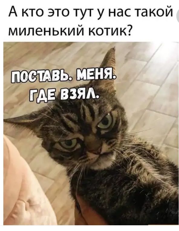 А кто это тут у нас такой миленький котик