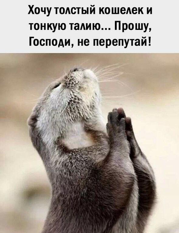 Хочу толстый кошелек и тонкую талию Прошу Господи не перепутай