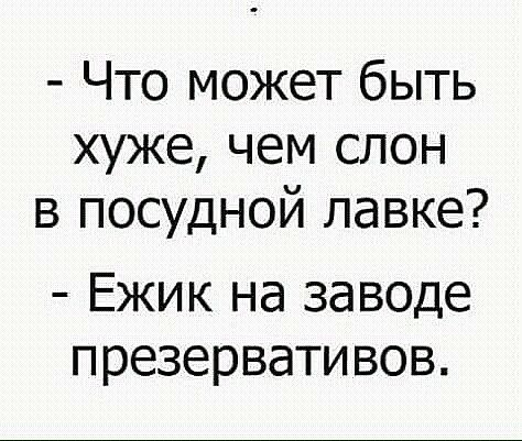 Что может быть хуже чем слон в посудной лавке Ежик на заводе презервативов