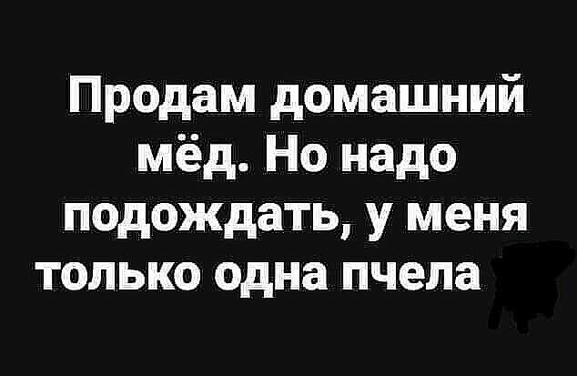 Продам домашний мёд Но надо подождать у меня только одна пчела