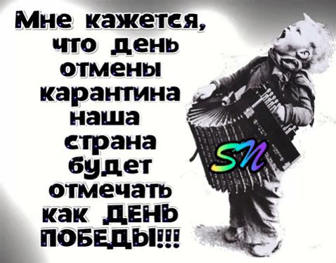 Мне кажется что день отмены карантина наша страна будет отмечать как дЕНЬ ПОБЕДЫ