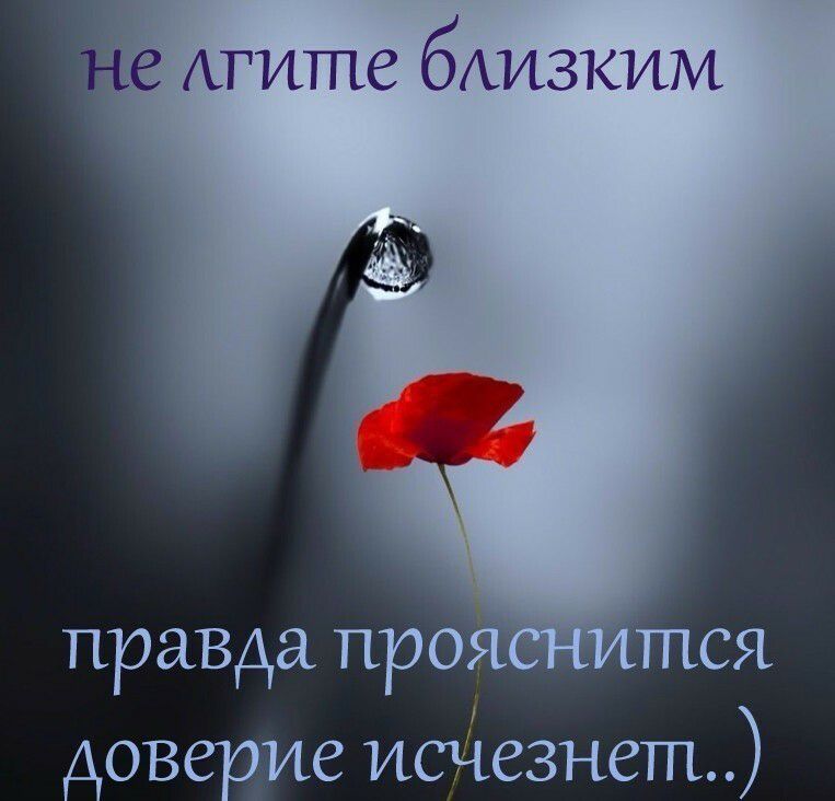 ПРаВАа пР0 1 А 086 ие исчезнет