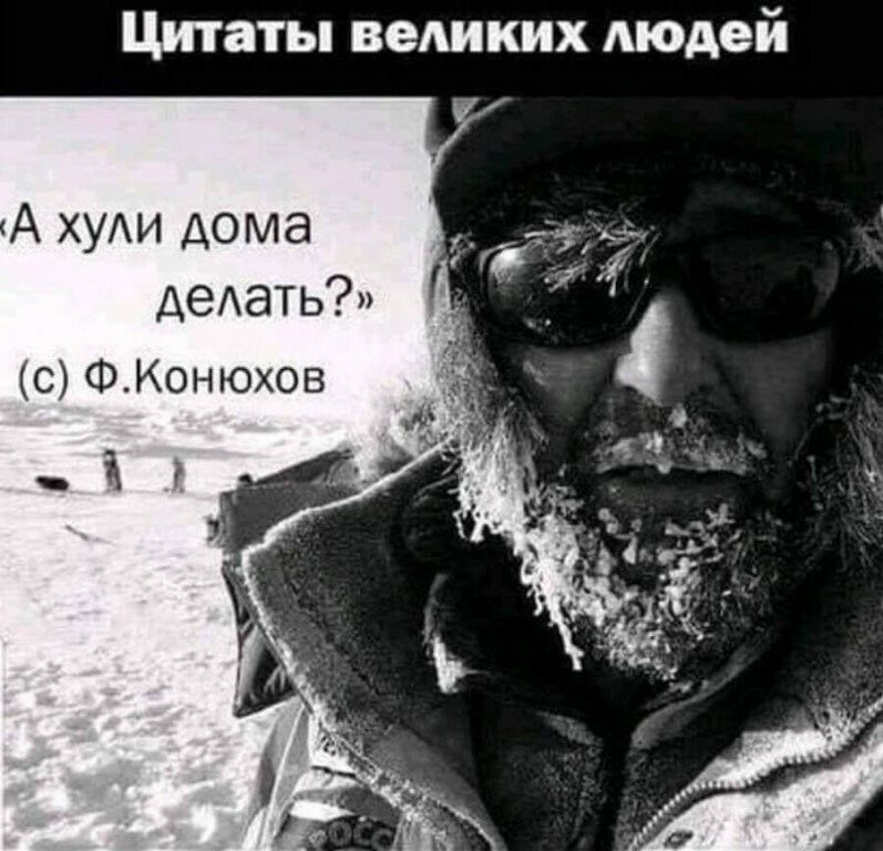 Цитаты ведиких Аюдей А ХУАИ дома деАать с ФКонюхов і
