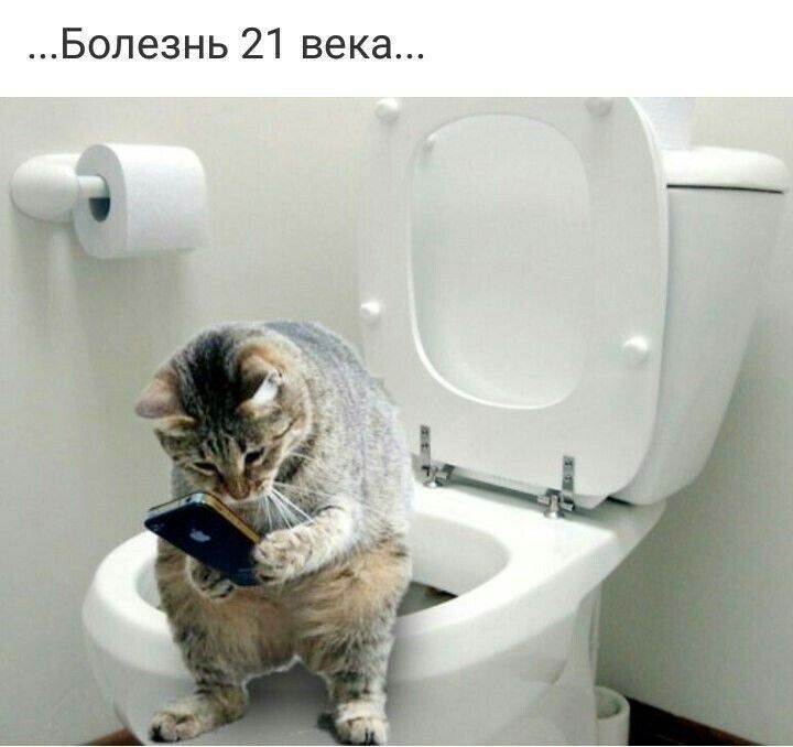 Болезнь 21 века