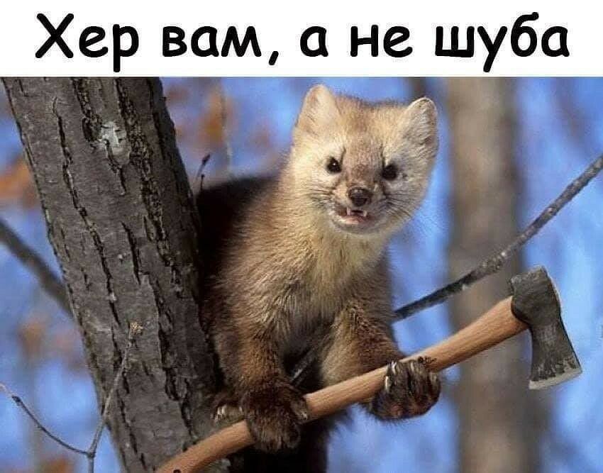 Хер вам а не шуба