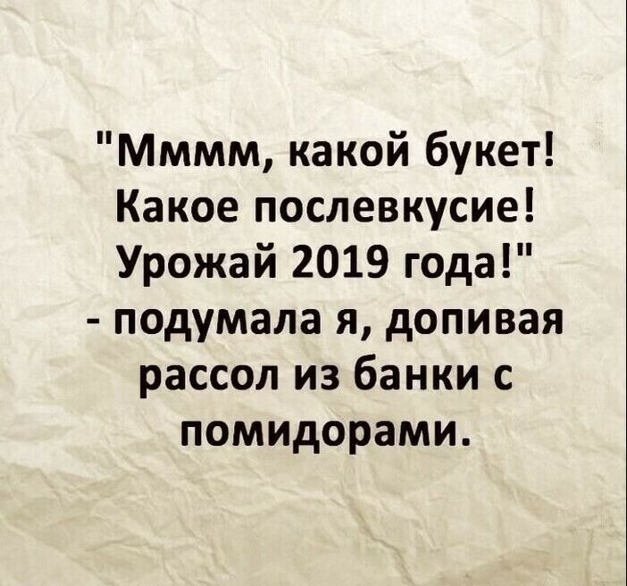 Мммм какой букет Какое послевкусие Урожай 2019 года подумала я допивая рассол из банки с помидорами