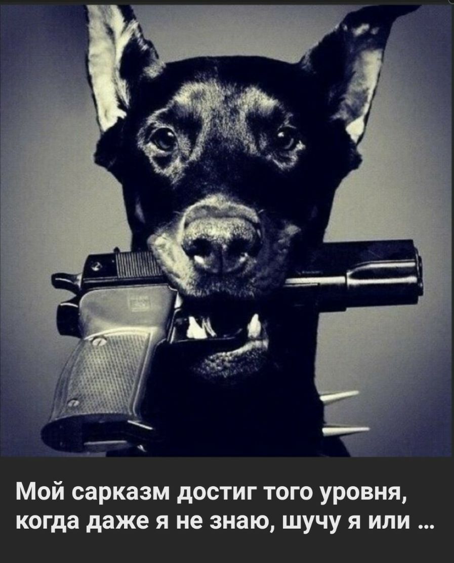 Мой сарказм достиг того уровня когда даже я не знаю шучу я или