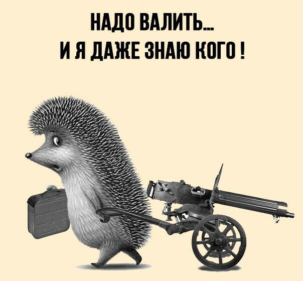 НАДП ВАЛИТЬ И Я дАЖЕ ЗНАЮ КПП