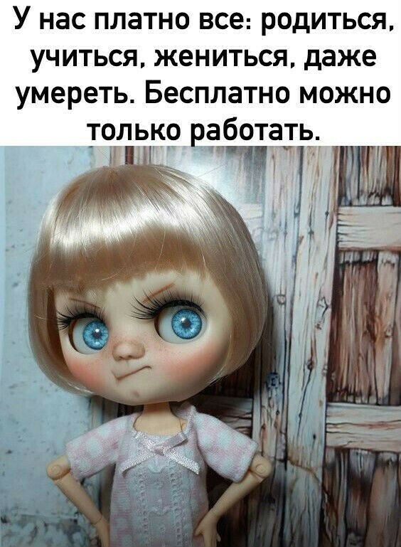 У нас платно все родиться учиться жениться даже умереть Бесплатно можно только вэботачтьд