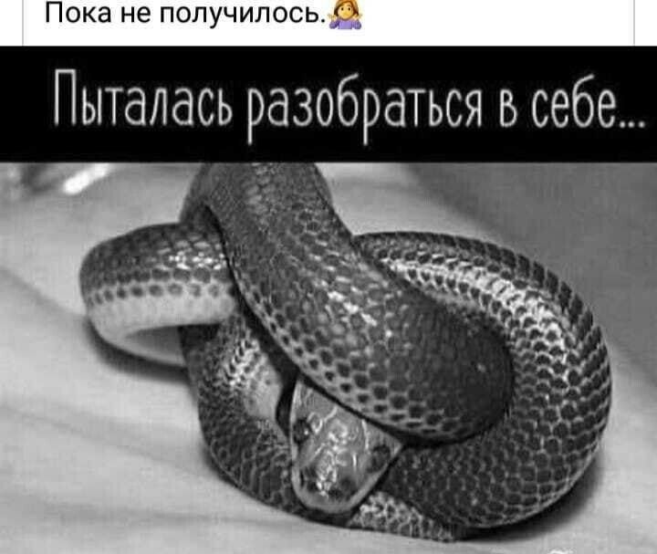 Пыталась разобраться в себе