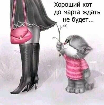 Хороший кот до марта ждать не будет л