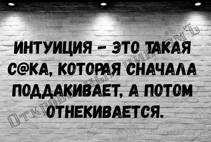 ИНТУИЦИЯ ЭТ0 ТАКАЯ СКА КОТОРАЯ СНАЧАААЙ ПОАААКИВАЕТ А ПОТОМ ОТНЕКИВАЕТСЯ