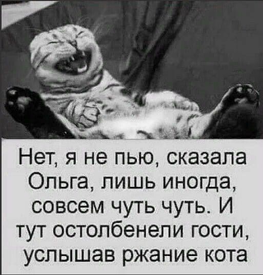 Ольга лишь иногда совсем чуть чуть И тут остолбенели гости услышав ржание кота