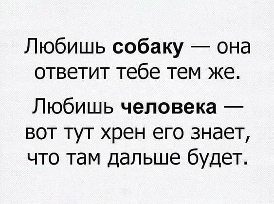 Любишь собаку она ответит тебе тем же Любишь человека вот тут хрен его знает что там дальше будет
