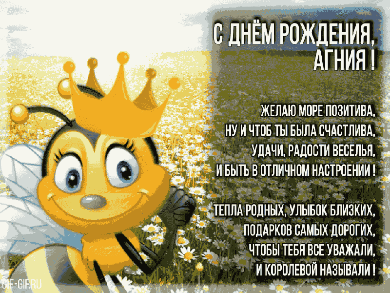 ЕМЁЮЖДЕИИЯ АГНИЯ ЖЕЛАЮ МОРЕ ИПЗИТИВ ЧТПБЁ БН ВБЕ УВАЖАЛИ И КОРПЛЕБЧИ НАЗЫВАЛИ