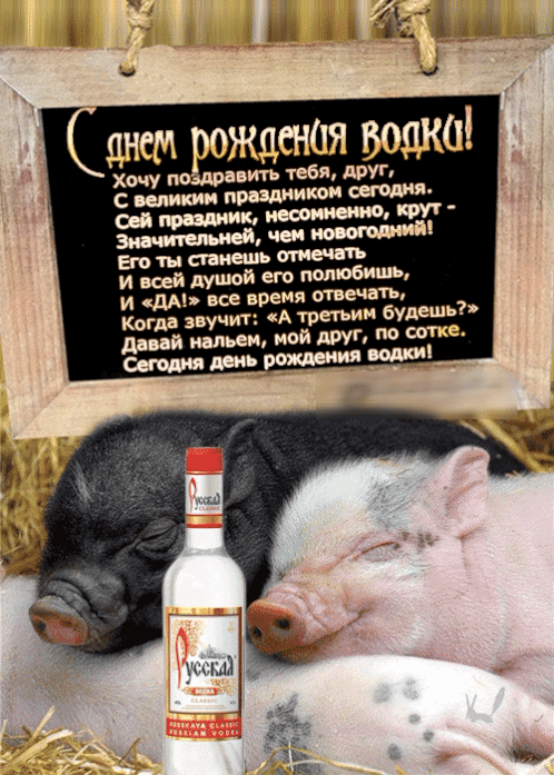 5 из мШ итъ тебя друг с ити пра тики сд кит его ты и всей лупы М и не время швед Кош звучит А третИ бит диап киш шалит