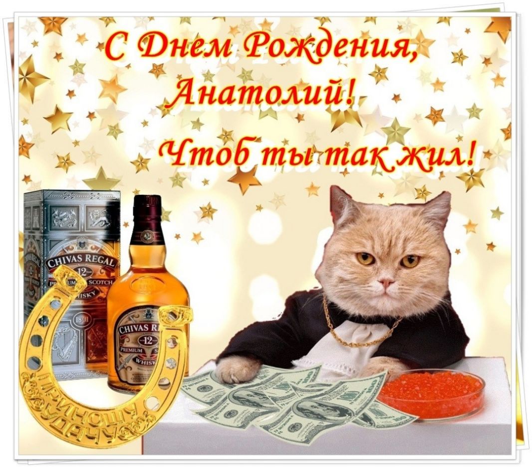 С Фнем Фолфения 1 Янатомш _ Что тьгтакжщ