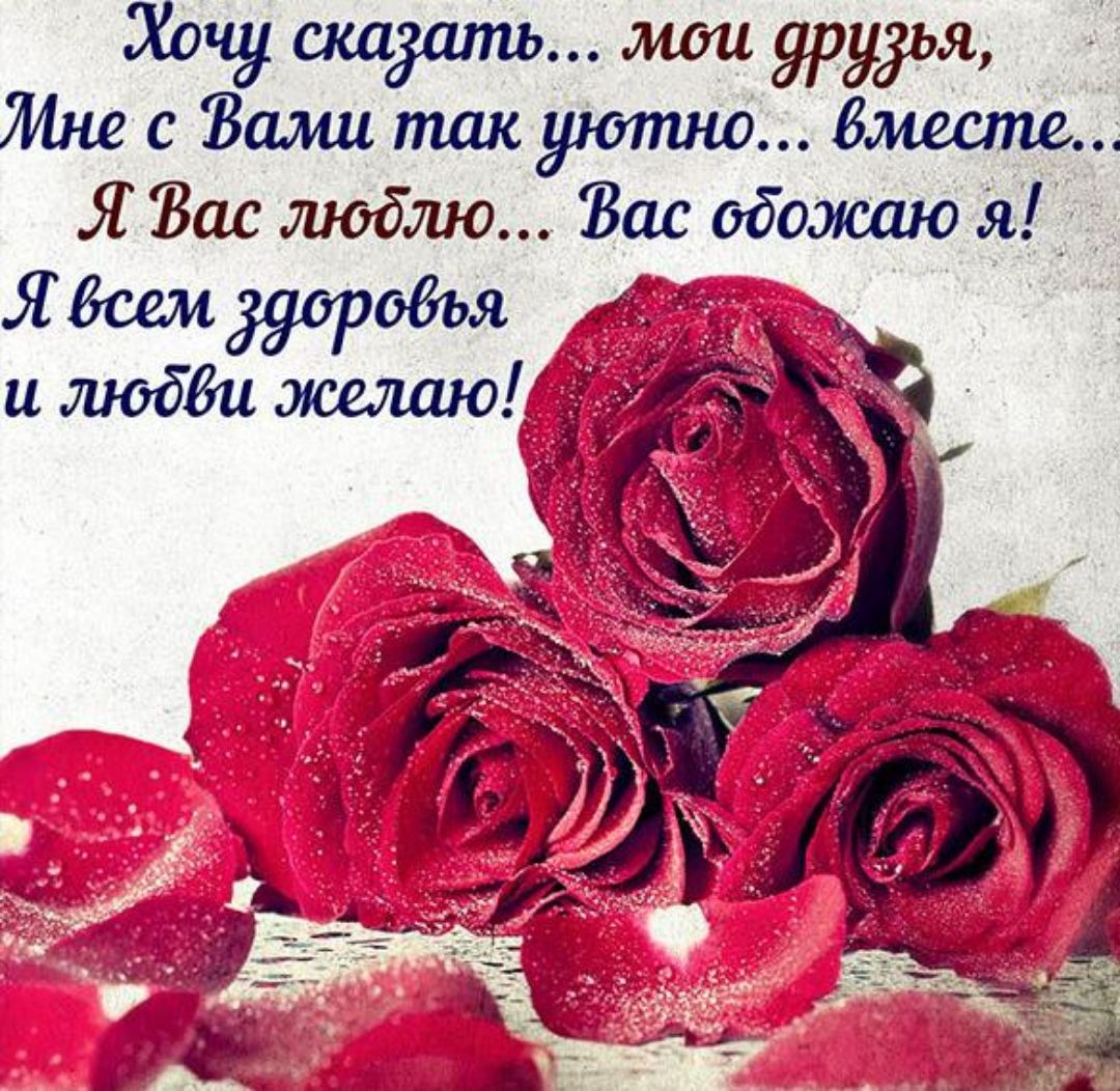 Хочу ждать мои урудья Мне с Вами так уютно Вместе Я Вас тадж Вас обожаю Я