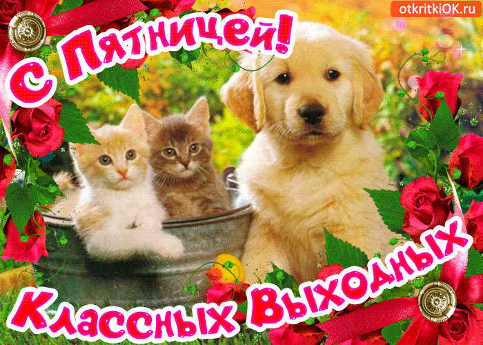 аКгісКі9Кги щ