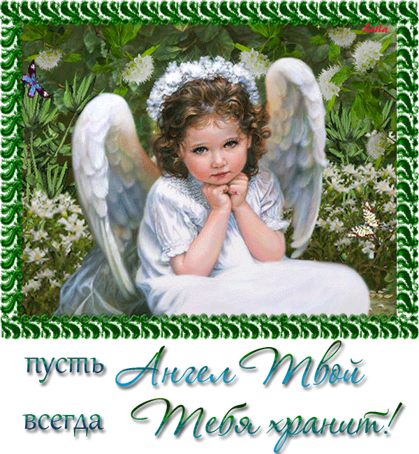 пусть 182иж всегда Жаба МОШЫМД