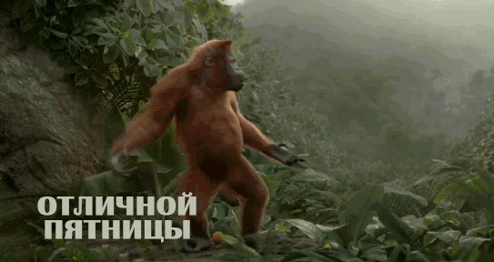 отличной _ пятницы _ _ нд