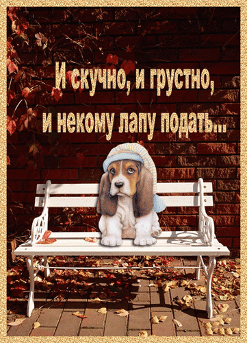 і Мікно и грустно инекомупапу подать _