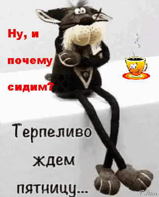 Терпелиео ждем пятницу