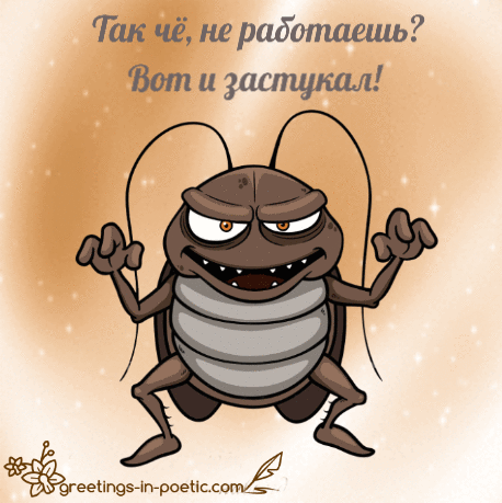 Так чё не работаешь Вот и Затиркак эгееипзэгшгрсЫк свтё