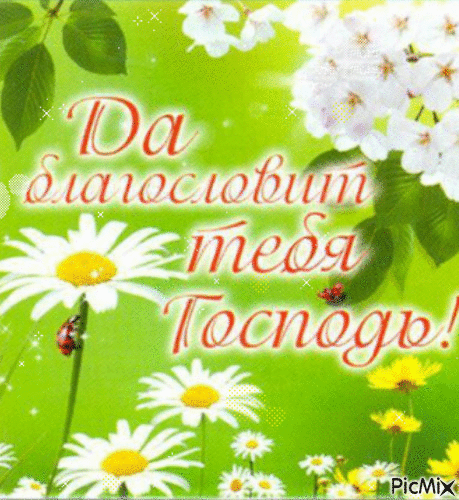Да благословит тебя Господь!