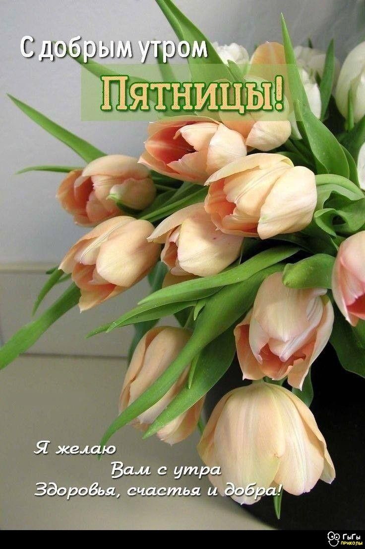 С добрым утром Пятницы! Я желаю Вам с утра Здоровья, счастья и добра!