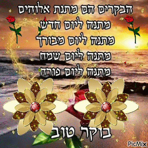 הברכות הם מתנת אלוהים
מתנת יום חדש
מתנת חיים יפים
מתנת חיים שמחה
מתנת ימים פורחים
ברכת טוב