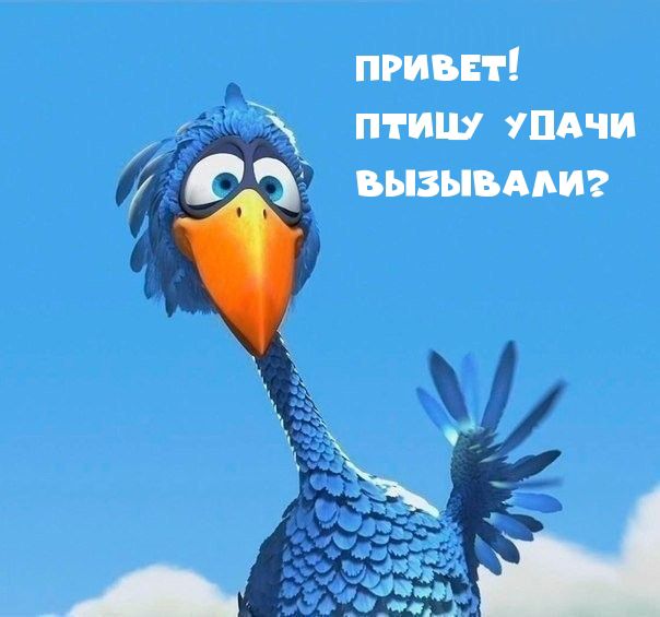 привит птиш тдчи вызывдмг