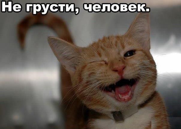 Не грусти