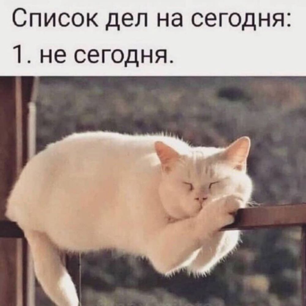 Список дел на сегодня 1 не сегодня