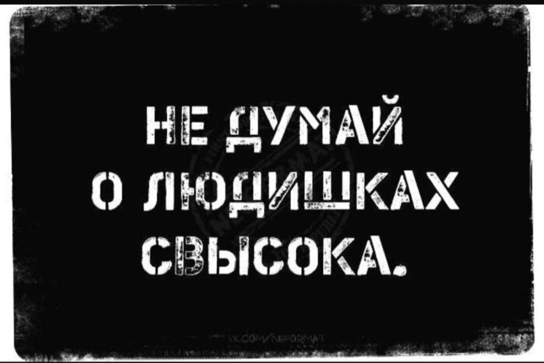нм думай пыщишкдх сдзысокд