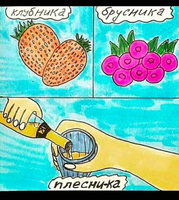 тубуши Плеснц Ка