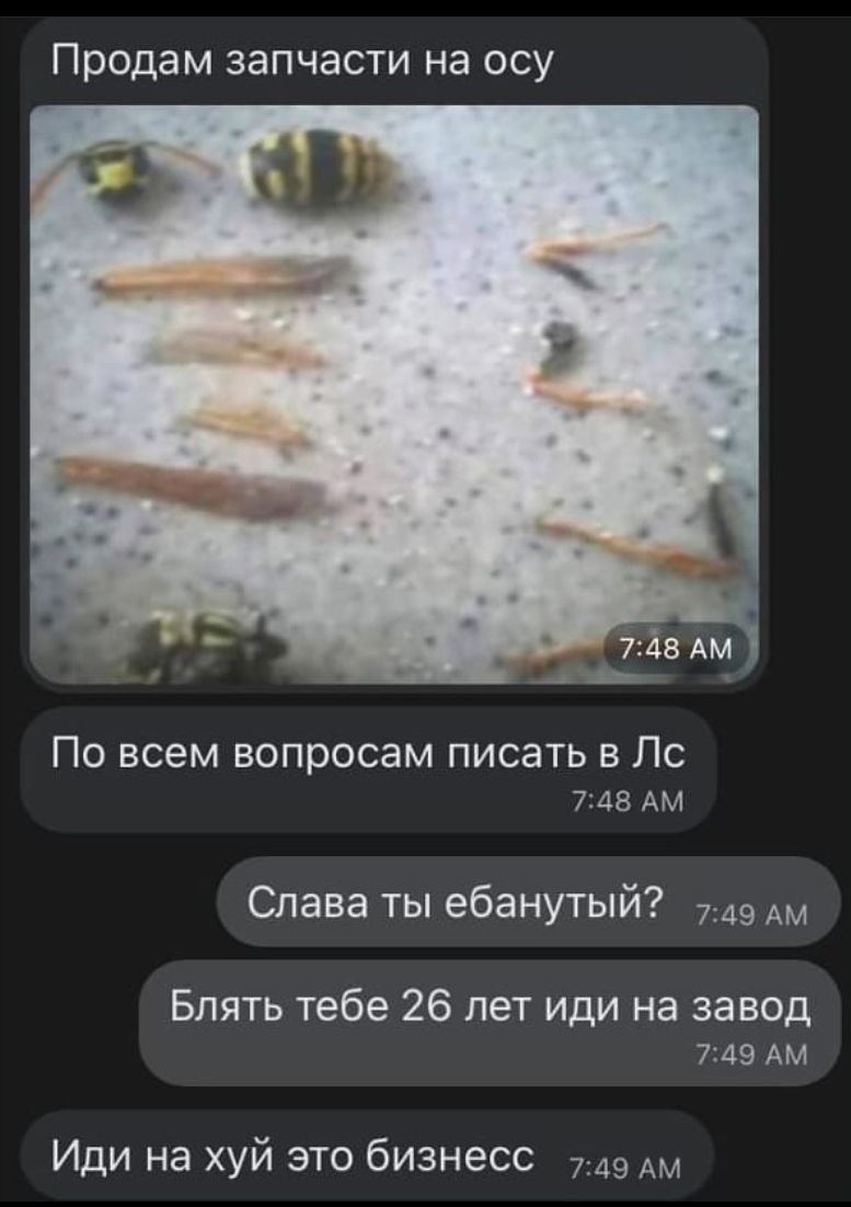 Продам запчасти на осу По всем вопросам писать в По 748 Ам Слава ты ебанутый 749 Блять тебе 26 лет иди на завод 7149 Ам Иди на хуй это бизнесс 749