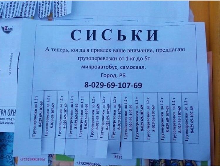 А теперь когда я привлек шие внимание предлагаю грузоперевозки от 1 кг до 5т микроавтобус самосвал Город РБ 8 02969 107 69 Гиг ит из _ шпиону