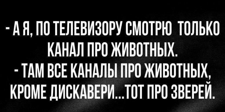 А П ПО ТЕЛЕВИЗОРУ ОМОТРЮ ТОЛЬКО КАНАЛ ПРО ЖИВОТНЫХ ТАМ ВОЕ КАНАЛЫ ПРО ЖИВОТНЫХ_ КРОМЕ ДИОКАВЕРИТОТ ПРО ЗВЕРЕИ