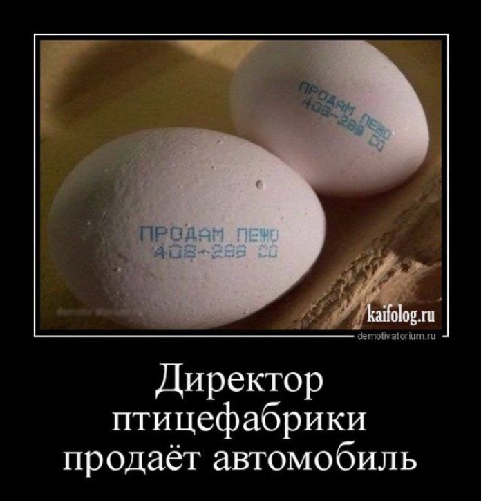 Директор птицефабрики продаёт автомобиль