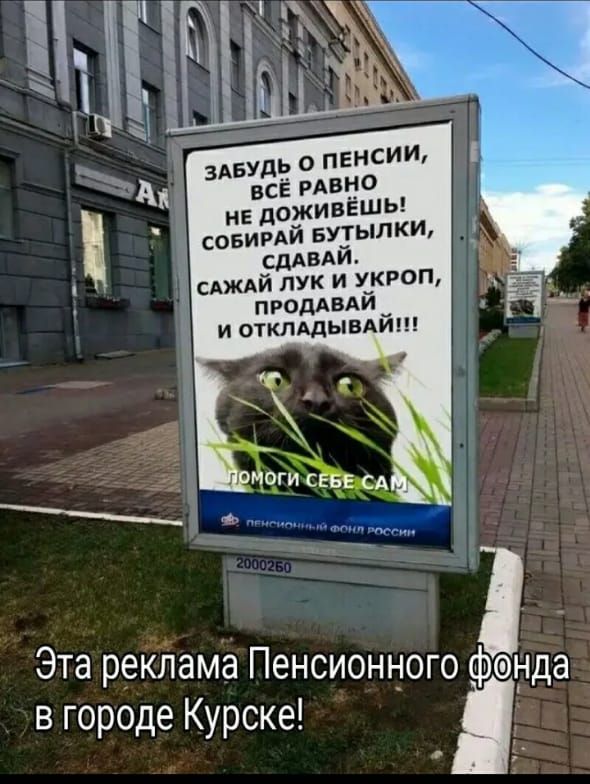 к 1177 Будьопенсии А всё РАВНО НЕ АОЖИВЁШЫ совирдй Бутылки д сдАВАЙ сдждй лук и укроп продАВАй и отклддывдй Эта рекйама Пенсионного фонда в городе Курске о