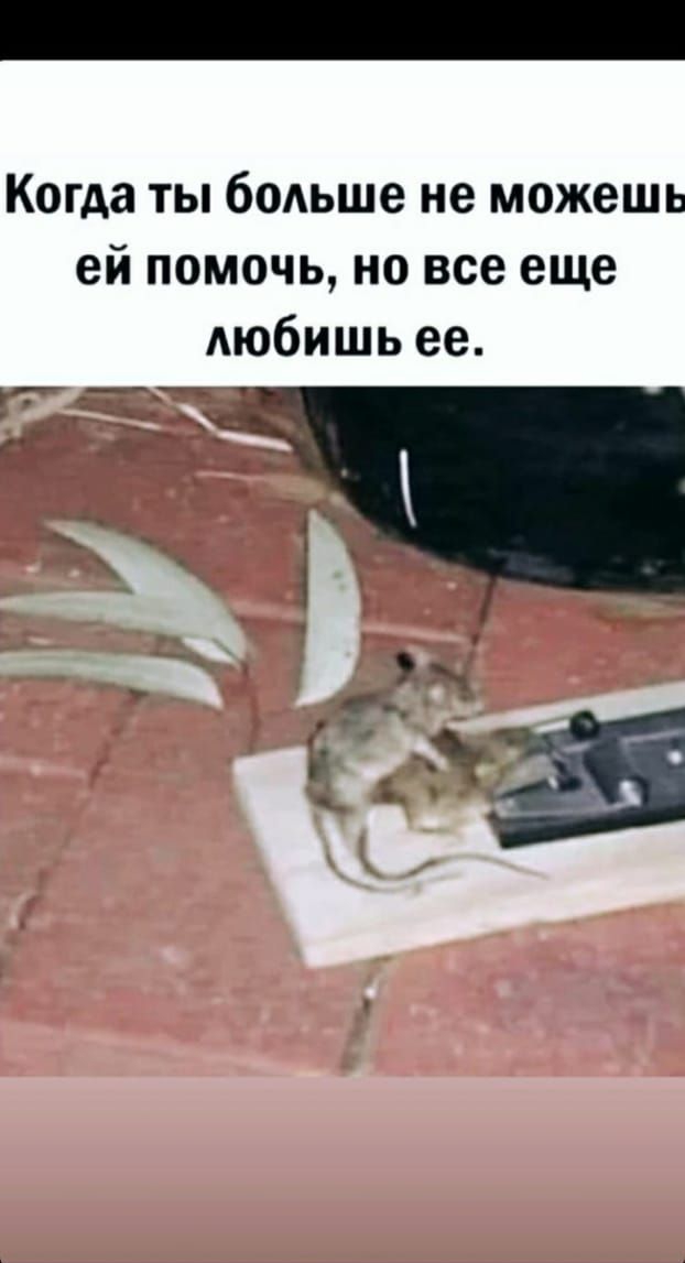Когда ты бодьше не можешь ей помочь но все еще любишь ее ьт А____