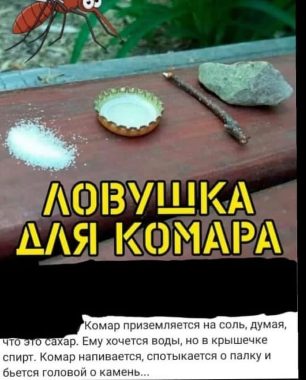 Комар приземляется на соль думая харт Ему хочется воды но в крышечке спирт Комар напивается спотыкается о папку и бьется гоповои о камень